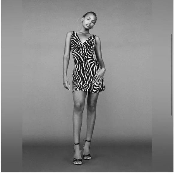 Realisation Par Isabelli Dress in Animal Zebra Small - Picture 2 of 6